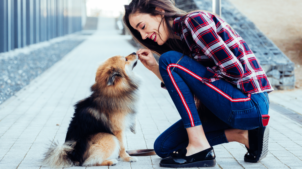 Breaking Free from Local Dog Training - "Brain Training for Dogs" Triumphs